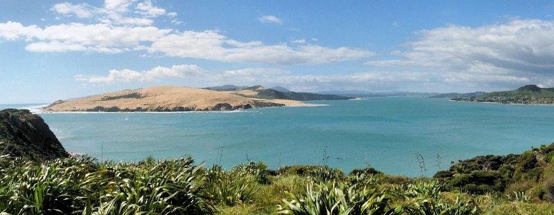A (191) Hokianga dunes.jpg